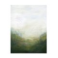 Trademark Fine Art Grace Popp 'Sun Dust II' Canvas Art, 35x47 WAG17443-C3547GG